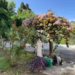 Dispensa San Pietro 度假居 卡拉塔菲米